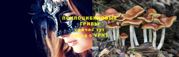 бутират Баксан