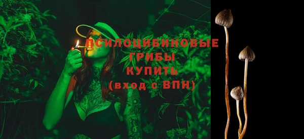винт Михайловка