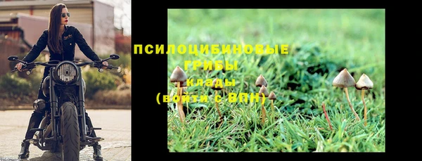 бутират Баксан