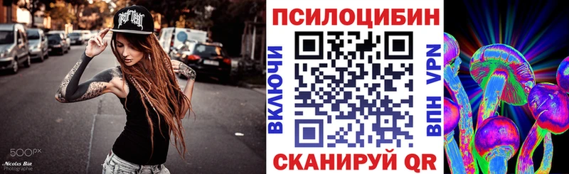 Купить где  Бикин  Галлюциногенные грибы Psilocybine cubensis 